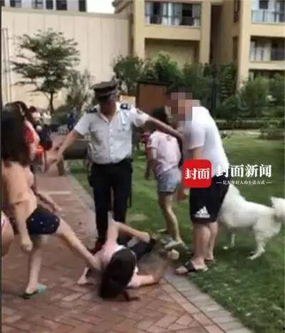 网友爆料遛狗视频大全图片,遛狗视频大全，萌宠日常欢乐多  第2张